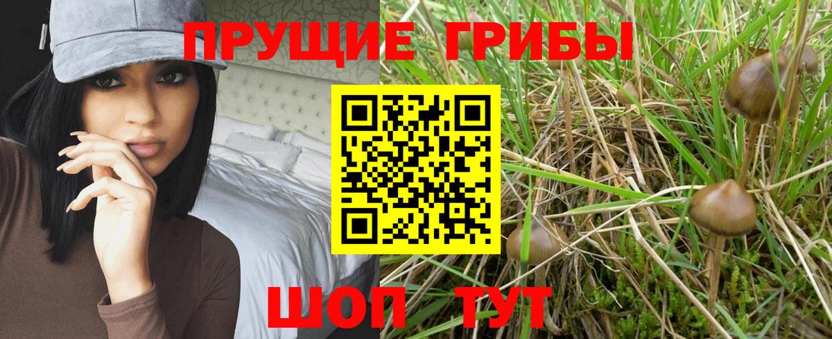 Псилоцибиновые грибы мицелий  Вход с VPN  Псков 